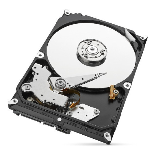 Dysk HDD Seagate SkyHawk ST1000VX013 1TB