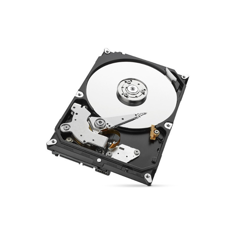 Dysk HDD Seagate SkyHawk ST1000VX013 1TB