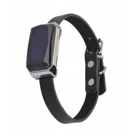 Lokalizator GPS Mking MK12P