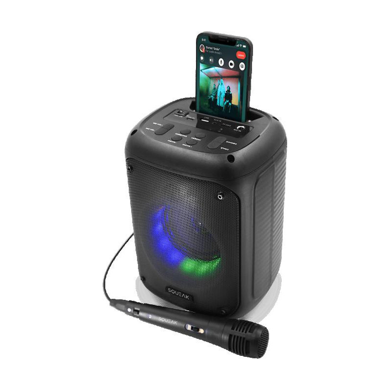 Głośnik BeatFlow Squeak SQ1005 BT, Radio FM, MP3, TWS