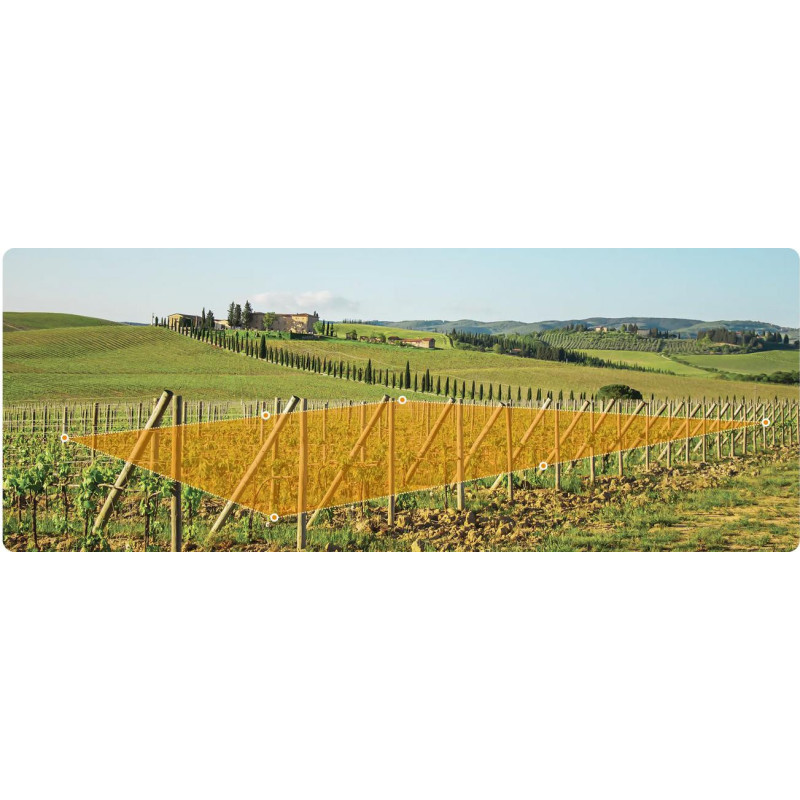 Kamera IP Imou AOV PT KIT 2.4GHz Wi-Fi i 4G 5MPx z panelem solarnym