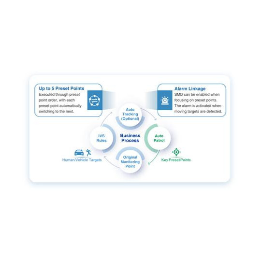 Kamera IP Dahua SD3D216NB-GNY