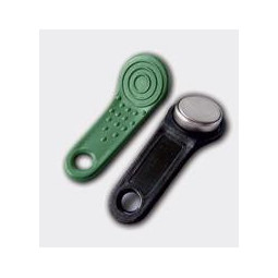 Laskomex Klucz dostępu TM - PASTYLKA Z ZAWIESZKĄ F5 (Dallas)