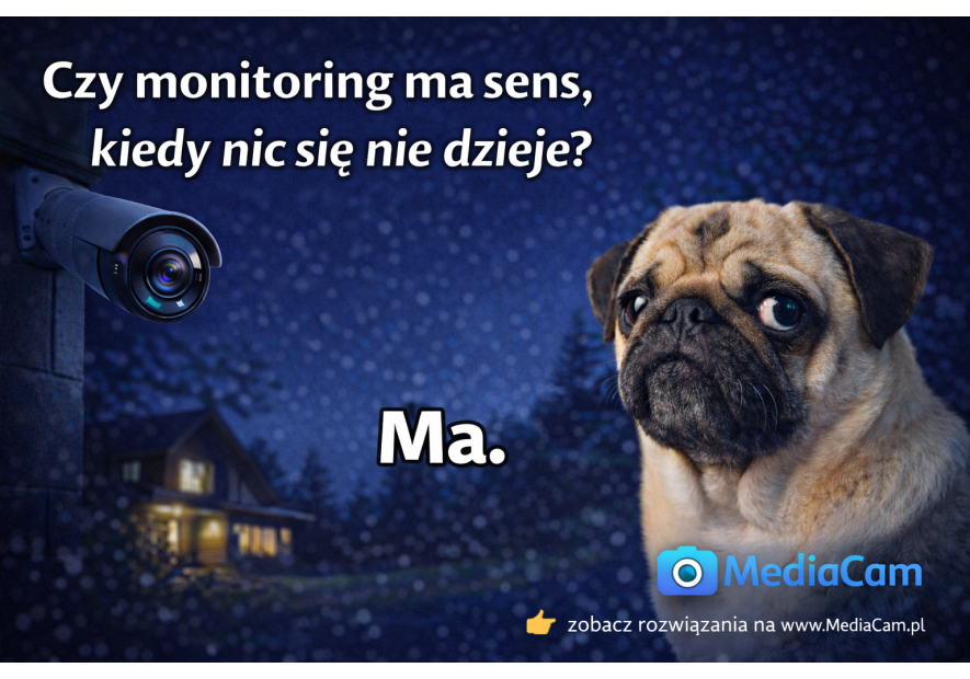 Jaki monitoring do domu wybrać w 2026 – poradnik