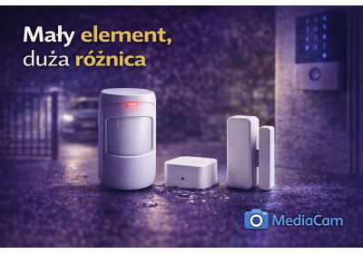 Nullam ullamcorper nisl quis ornare molestie